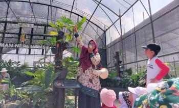 Kebun Raya Itera Raih Dukungan Internasional dalam Pelestarian Kantong Semar