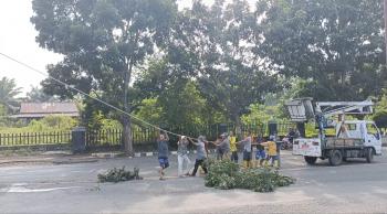 Dinas Lingkungan Hidup Tuba Tanggap Terhadap Laporan dan Pemberitaan