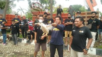 Harga Naik Warga Tercekik, Gelar Aksi Damai Ini Harapan Para Broker Ayam Lampung 