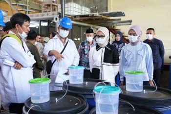 Gubernur Cukupi Kebutuhan Pupuk 190.851 Petani Lampung   