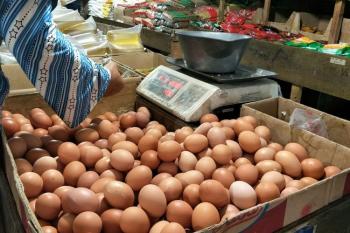 Pedagang Keluhkan Harga Telur Melambung Tinggi Jelang Nataru