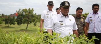 Bupati Lampung Selatan Nanang Ermanto Tinjau Progres Petani Milenial