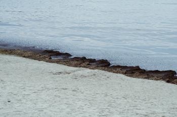 Dinas Lingkungan Hidup: Limbah di Pesisir Pantai Duga Akibat Kebocoran Pipa