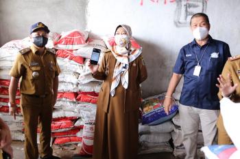 Wagub Chusnunia Chalim Lakukan Monitoring Ketersediaan Pupuk dan Pestisida di Kabupaten Lampung Tengah