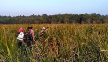 Mendagri Minta Pemda Cabut Aturan Pembakaran Lahan untuk Cegah Karhutla