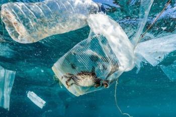  Sampah Masih Jadi Ancaman Kini Masuk Ke  Laut Ternate