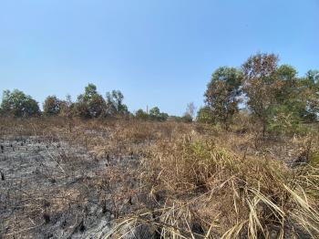 Kebakaran Lahan Kosong di Kelurahan Way Laga Tidak Sampai 2 HektarÂ 
